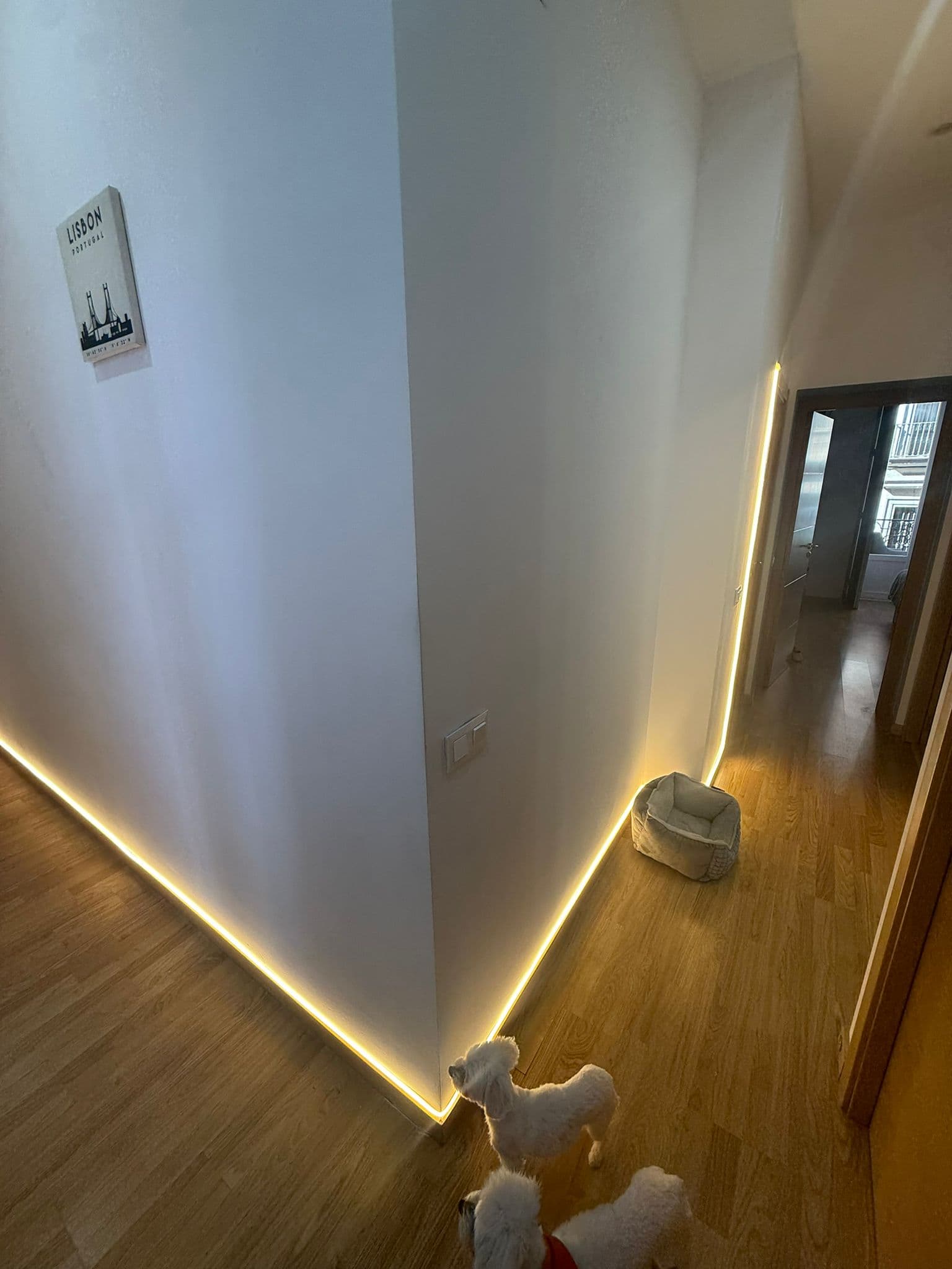 Suite King Luxury